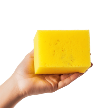 a person holding a sponge in their hand png