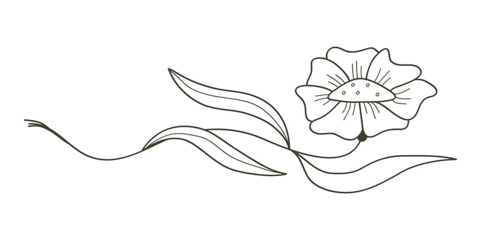 Flowers blossom line hand drawn . illustration vector