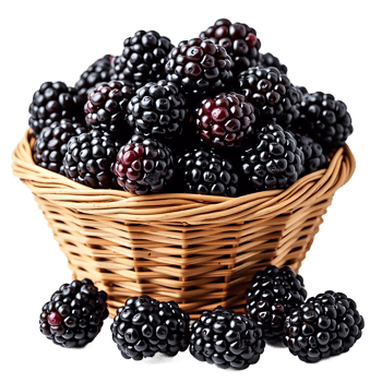 Download High-Quality Transparent- Basket of Fresh Ripe Blackberries png