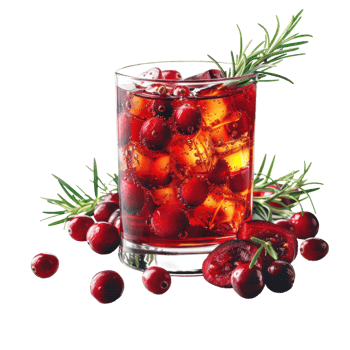 Fresh cranberry and rosemary with ice cube in clear glass object clip art and element png