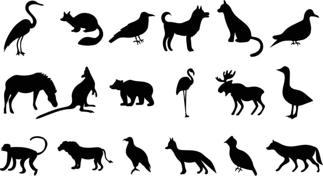 Different Animal Black Silhouettes Art on White Background vector