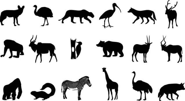 Collection of Animal Silhouettes illustration on white background vector