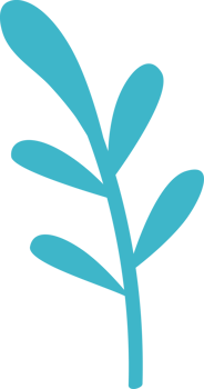 A blue leaf of xmas png