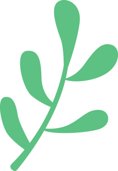 A green leaf of xmas png