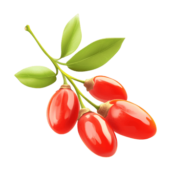 Goji berry - goji berry png