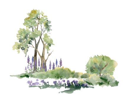 Scenery landscape of northern forest meadow grassland with bushes lupin flowers, lush green foliage tree, watercolor hand drawn. Illustration for tourism, resort ads, hiking camping sites, vacation. vector