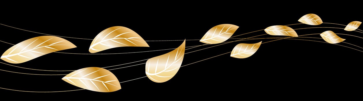 golden foliage. Luxurious autumn leaves on black background, wind movement leaf tree VIP design. vector