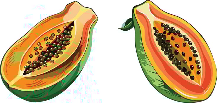 Papaya slice 3d sticker design vector