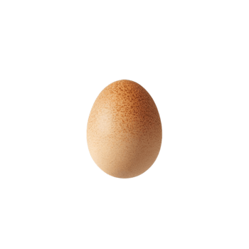 Brown eggs from hens on a clear background png