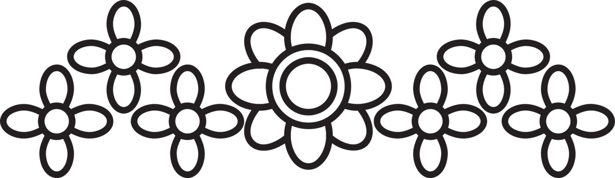 Minimal Floral Frame png