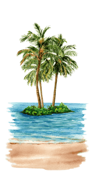 Tropical island with palms, hand drawn illustration for Card or publications png