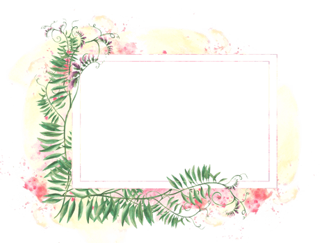 Meadow weed grass Mouse pea. Wildflowers twig template. Climbing plant with pink flowers, buds, green curly leaves on watercolor splashes, spotted background. illustration. Wild herbs isolated clipart png