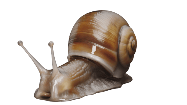 3d Snail Animal photo png