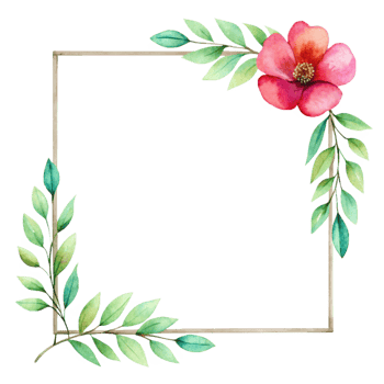 Beautiful Watercolor Floral Frame Isolated on Transparent Background png