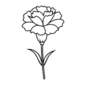 red carnation, illustration line art vector