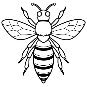 realistic queen bee from top, illustration line art vector