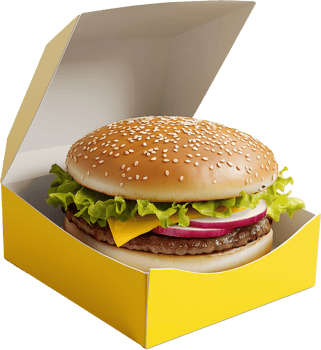 Fresh Beef Burger Isolated for Stock Use png