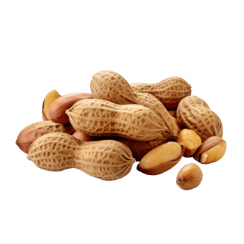 A Pile of Peanuts Isolated on a transparent background png
