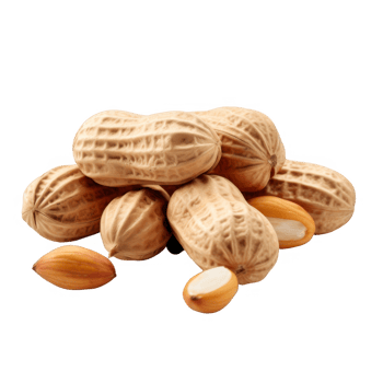 Close-up of Peanuts with One Opened Shell and Kernels png