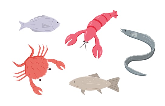 A set of cartoon drawings of marine animals. illustration of fish, algae, eel, crab, lobster. Isolated on white. vector