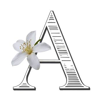 A letter with a white flower on it png