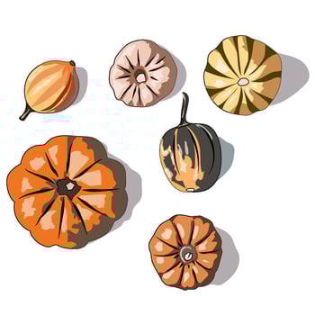 set of colorful various pumpkins and autumn leaves in flat style isolated on white background. vector