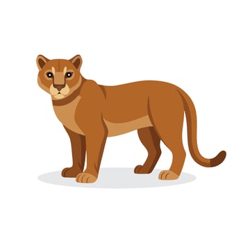 Cougar animal isolated flat illustration on white background. vector