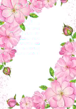 Frame with pink tea rose. Hand drawn watercolor illustration vector