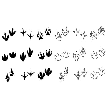 Dinosaur Track icon set. Dinosaur Footprints illustration sign collection. trace symbol or logo. vector