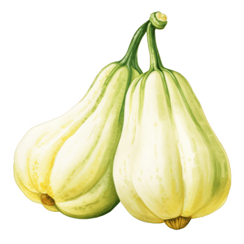 Two Watercolor-Painted Butternut Squash png