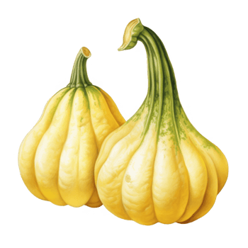 Two Yellow Gourds with Green Stems on transparent background png