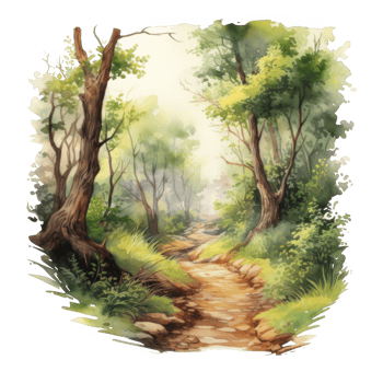 Watercolor Illustration of a Path Through a Lush Forest png