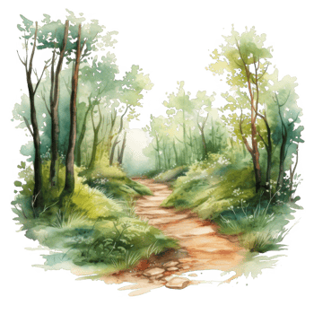 Watercolor Painting of a Winding Path Through a Lush Green Forest png