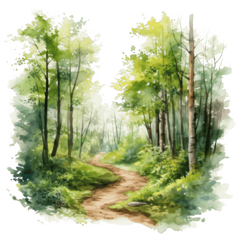 Watercolor Painting of a Winding Path Through a Green Forest png