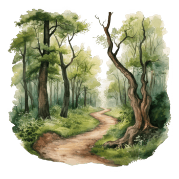 Winding Path Through a Lush Green Forest png