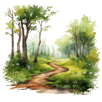 Watercolor Painting of a Winding Path Through a Lush Forest png