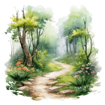 A Watercolor Painting of a Winding Path Through a Lush Forest png