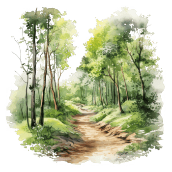Watercolor Painting of a Winding Path Through a Lush Forest png