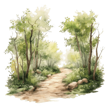Watercolor Painting of a Winding Path Through a Lush Forest png