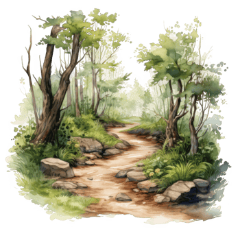 Watercolor Painting of a Winding Path Through a Forest png