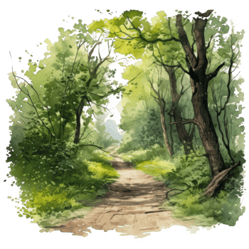 Watercolor Painting of a Path Through a Lush Green Forest png