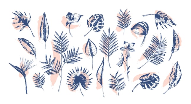 Bundle of tropical leaves of various plants hand drawn with contour lines against pink paint traces on background. Set of exotic foliage of different size and shape. Realistic illustration. vector