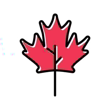 Maple Leaf Icon Design vector