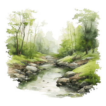 Watercolor Painting of a Stream Winding Through a Forested Landscape png