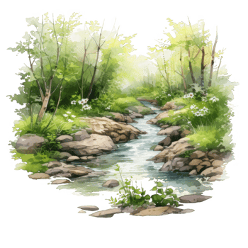 A Watercolor Illustration of a Stream Flowing Through a Lush Forest png