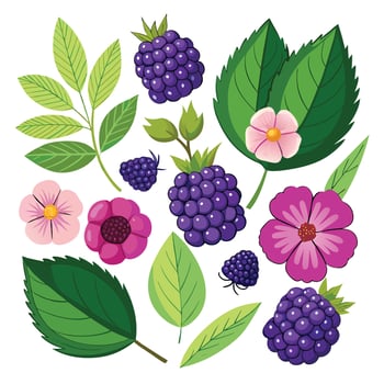 Blackberry, blackberry, blackberry, blackberry, blackberry, blackberry, black vector