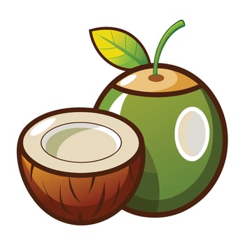 Coconut fruit and half open coconut illustration vector