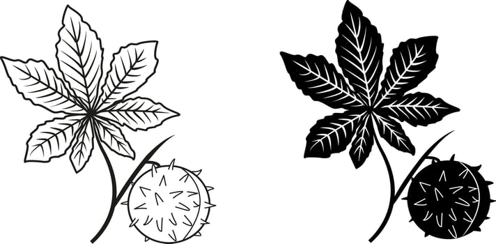 Set of chestnut leaves black and white. Illustration for coloring book. chestnut icon vector