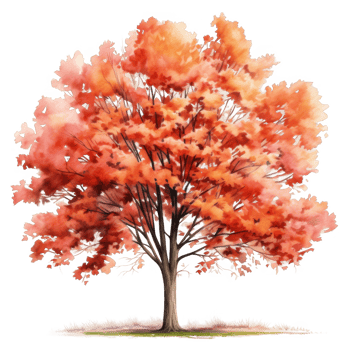 Watercolor Painting of a Tree with Red and Orange Leaves png
