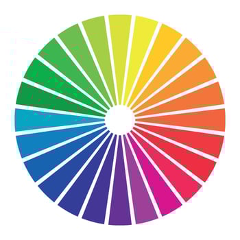 Colour wheel 24 colours. Circular rainbow. Infographic. Colouristics. Oswald's circle vector